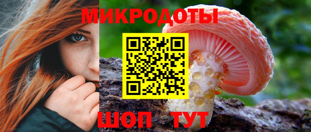 Рославль  Псилоцибиновые грибы Cubensis  Вход с VPN 