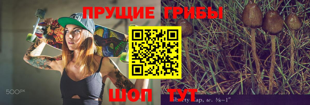 Галлюциногенные грибы GOLDEN TEACHER Рославль